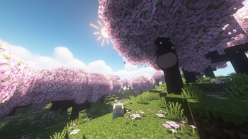 Round Trees preview
